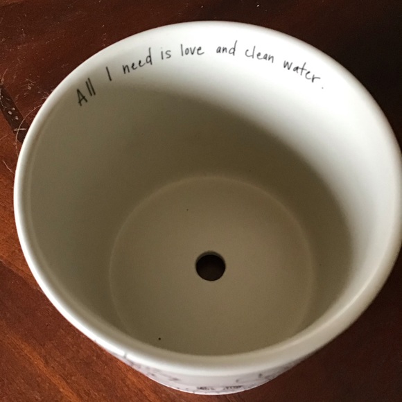 FINAL SALE All I Need is Love and Clean Water Plant Pot Holder - Picture 4 of 4